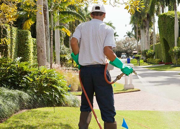 About Felda FL Pest Control